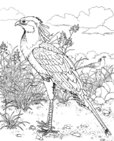 A coloring page of nature in africa